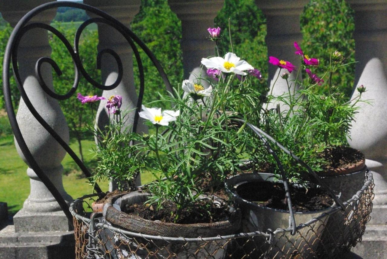 Le Manoir De Crisolles Bed & Breakfast エクステリア 写真